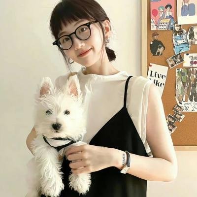 网虫日记 海报